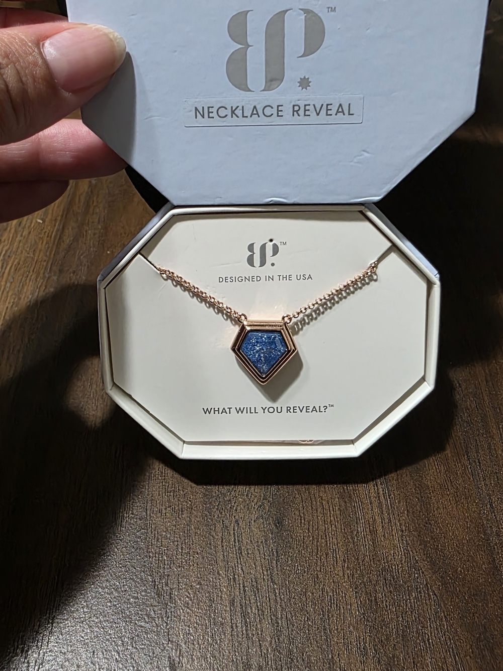 NK23055-A Sigh That Stays Necklace Reveal